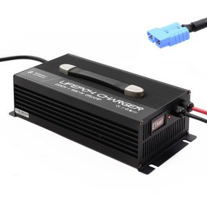 LiFePO4 Charger 48v 25A