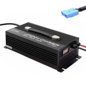 LiFePO4 Charger 48v 40A